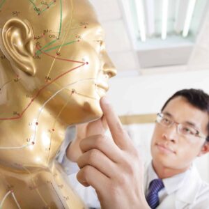 Traditional Chinese Medicine doctor teaching Acupoint on human model