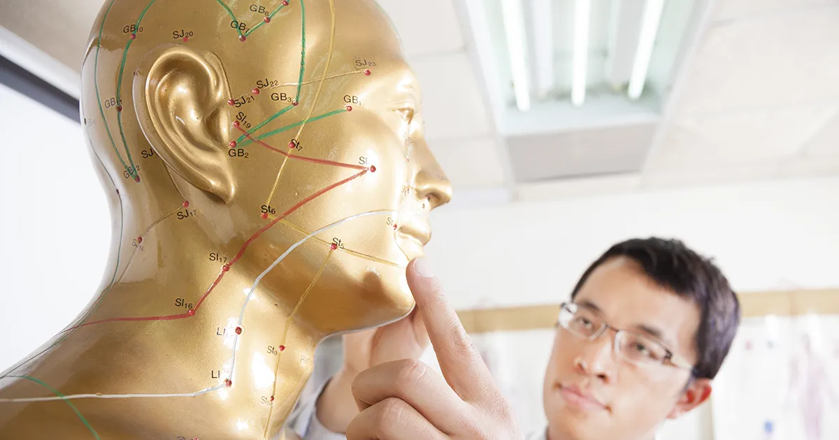 Acupuncture and Acupressure points on the head of a mannequin.